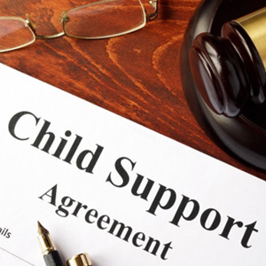 Child Support & Spousal Support Issues
